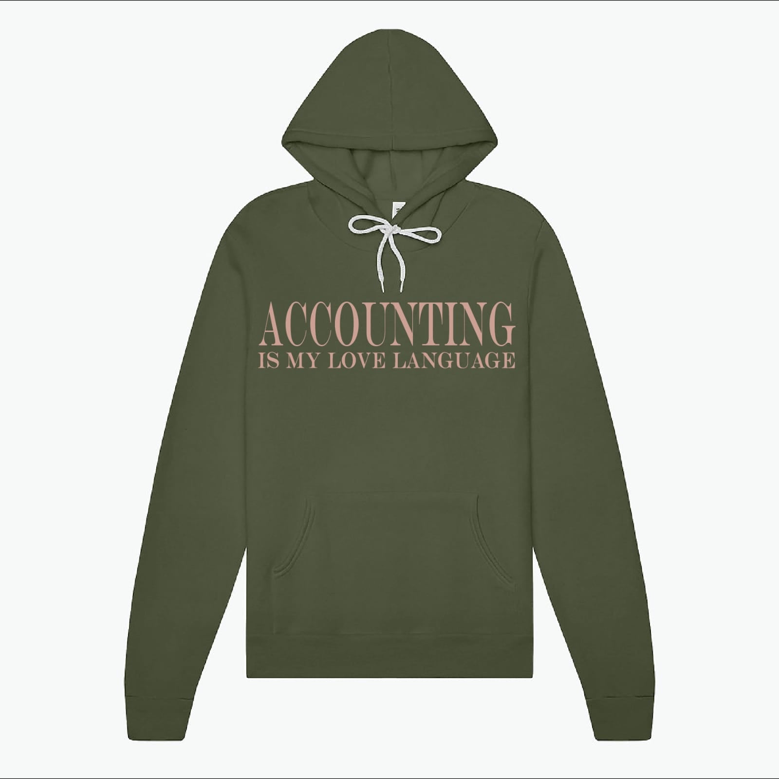 Accounting is my love language Hoodie